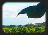 Photographie du Chateau